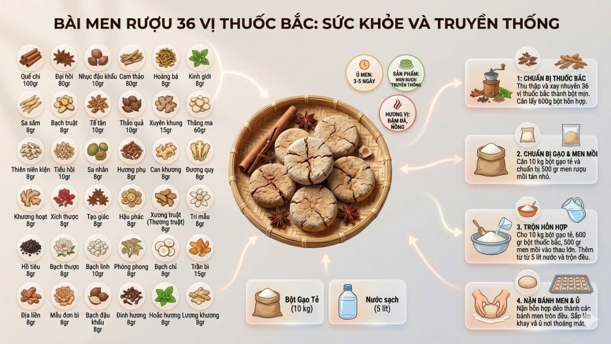 BÍ MẬT MEN LÁ 36 VỊ THUỐC BẮC: TINH HOA NGÀN NĂM TRONG GIỌT RƯỢU TRUYỀN THỐNG