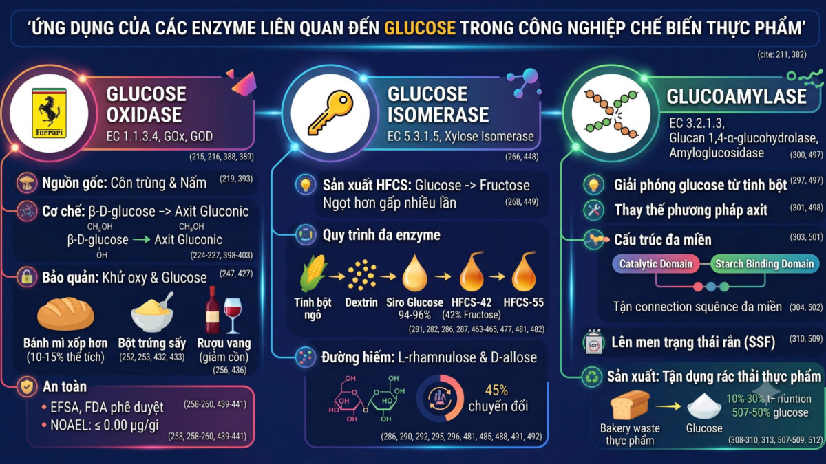 ỨNG DỤNG CỦA CÁC ENZYME LIÊN QUAN ĐẾN GLUCOSE TRONG CÔNG NGHIỆP CHẾ BIẾN THỰC PHẨM