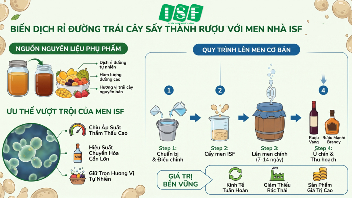 Tận dụng dịch rỉ đường làm trái cây sấy: Biến phụ phẩm thành rượu thượng hạng với men nhà ISF