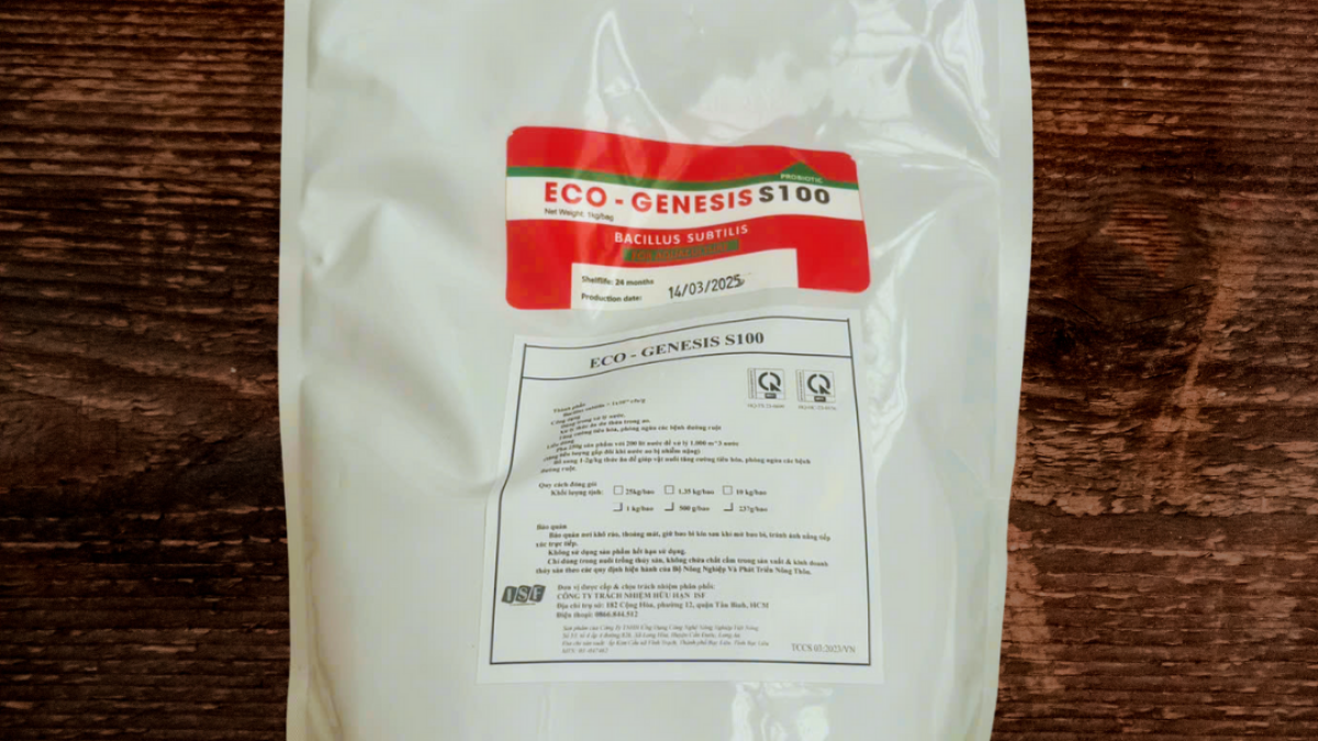 KỸ THUẬT TĂNG SINH VI KHUẨN BACILLUS SUBTILIS TẠI TRANG TRẠI NUÔI TÔM