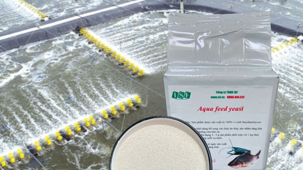 PROBIOTIC, BACILLUS VÀ NẤM MEN: TƯƠNG LAI CHĂN NUÔI 5.0