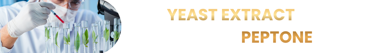 VI SINH NGUYÊN LIỆU DÒNG ĐƠN