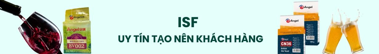 MEN RƯỢU GẠO - MEN VANG - MEN TURBO