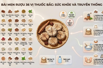 bi-mat-men-la-36-vi-thuoc-bac-tinh-hoa-ngan-nam-trong-giot-ruou-truyen-thong0604