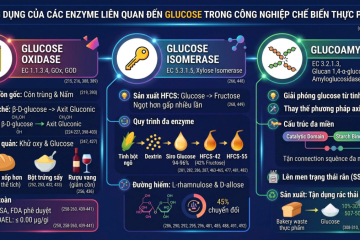ung-dung-cua-cac-enzyme-lien-quan-den-glucose-trong-cong-nghiep-che-bien-thuc-pham070262026