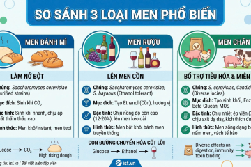phan-biet-men-banh-mi-men-ruou-va-men-chan-nuoi-ban-chat-sinh-hoc-ky-thuat-va-ung-dung-thuc-te200726
