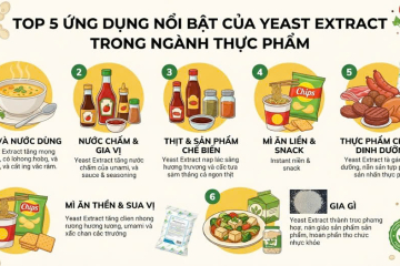 ung-dung-cua-yeast-extract-trong-thuc-pham-bi-quyet-nang-tam-huong-vi-tu-nhien-cung-isf140826
