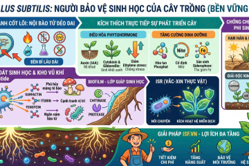 bacillus-subtilis-chia-khoa-phan-tu-cho-cach-mang-nong-nghiep-ben-vung-15052026