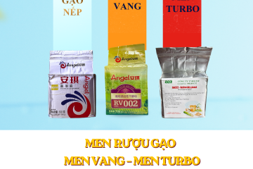 -diem-khac-biet-men-vang-men-ruou-gaomen-turbo1222