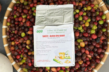 quy-trinh-cong-nghe-san-xuat-hat-ca-phe1