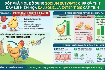 dot-pha-moi-bo-sung-sodium-butyrate-giup-ga-thit-day-lui-hiem-hoa-salmonella-enteritidis-cap-tinh1509