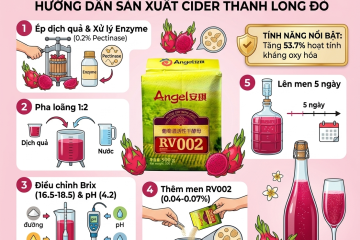 huon-dan-len-men-cider-thanh-long-ruot-do-su-dung-nam-men-saccharomyces-cerevisiae-rv002050526