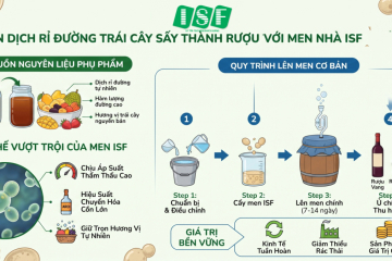 tan-dung-dich-ri-duong-lam-trai-cay-say-bien-phu-pham-thanh-ruou-thuong-hang-voi-men-nha-isf772026