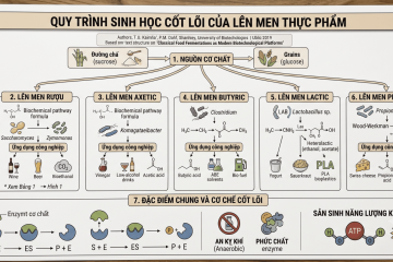 quy-trinh-sinh-hoc-cot-loi-cua-len-men-thuc-pham06072026