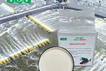 probiotic-bacillus-va-nam-men-tuong-lai-chan-nuoi-50-1