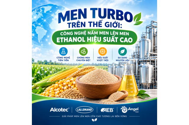 MEN TURBO TRÊN THẾ GIỚI: CÔNG NGHỆ NẤM MEN LÊN MEN ETHANOL HIỆU SUẤT CAO